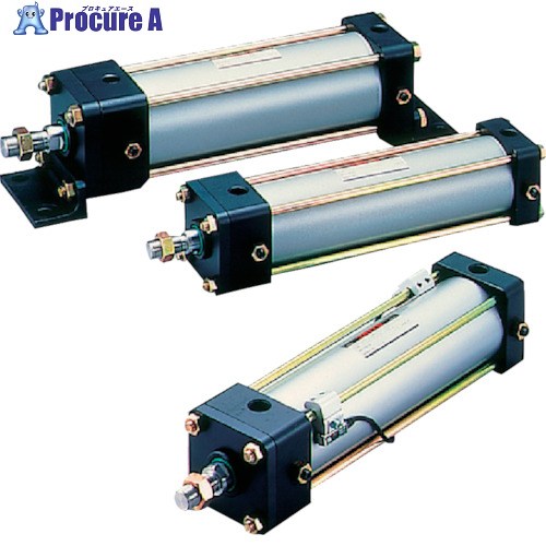 TAIYO 空気圧円筒 10A-2CB100B450-結核症 1個 ■▼829-9485