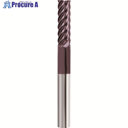 GUHRING 6枚刃挙げ句の果て圧砕機 Power mill ロングFIRE厚地の外套 12粍 19974 12.000 1本 ■▼182-3487 【貨物輸送都度積もり書き】 DIY・工具-切削・研削工具用アクセサリー-電動・エア工具用アクセサリー