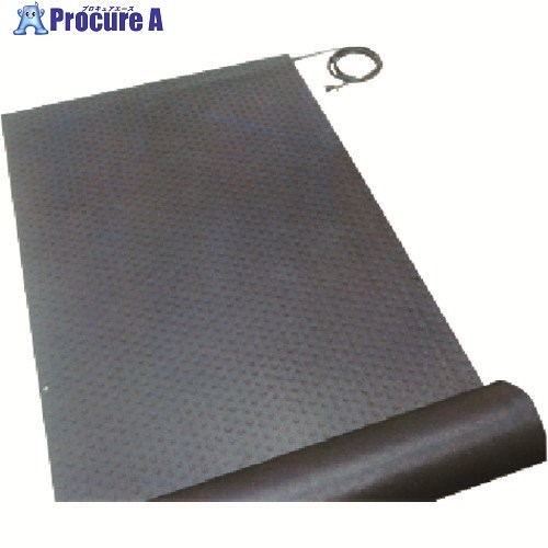 TGK 溶解引っ敷き 部屋の入り口用 TYG-300-1 155-57-29-03 1枚 ■▼190-3624 【貨物輸送都度積もり書き】