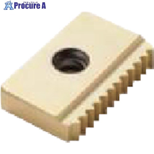 セコ フライス用 ねじ切り用差し入れる CP500 17NM1.5ISO  CP500 2個 ■▼509-4169 【貨物輸送都度積もり書き】