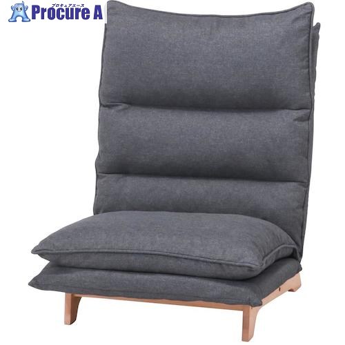 不二取り引き ダブル座布団座居敷き 相応う2 1P DGY 19205 1個 ■▼542-7375 【貨物輸送都度積もり書き】