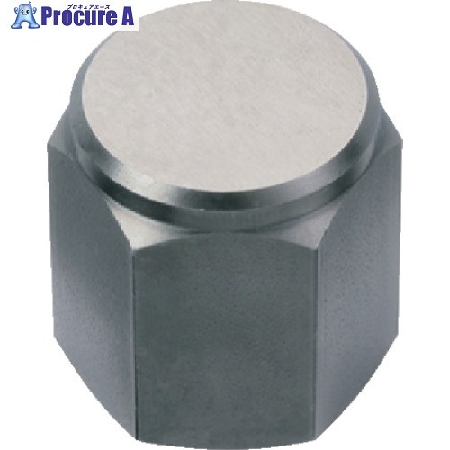 HALDER レストボタン メネジ付、平面 台座高さ30mm±0.01 ピン径M16 22690.0343 1個 ■▼106-6641 【送料都度見積】