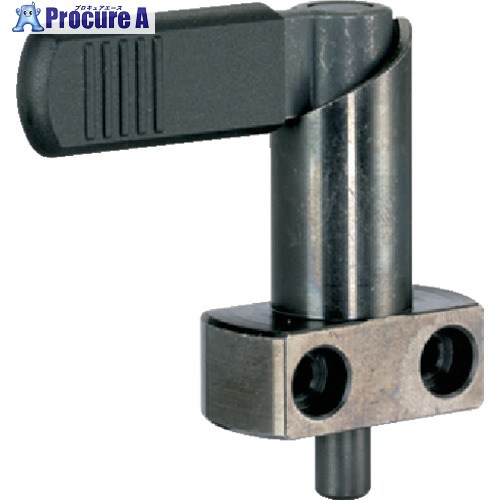 HALDER インデックスボルト カラー付 樹脂製キャップ付 22120.0389 1個 ■▼107-1540 【送料都度見積】