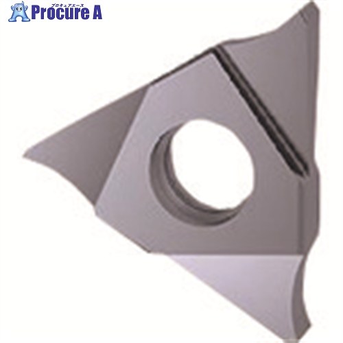 GUHRING 溝入れ工具 インサート 内外径溝入れ加工用 TiCNコート GE305.0100.010.BA.04.N 25606 12.001 2本 ■▼180-6413 【送料都度見積】｜プロキュアエース