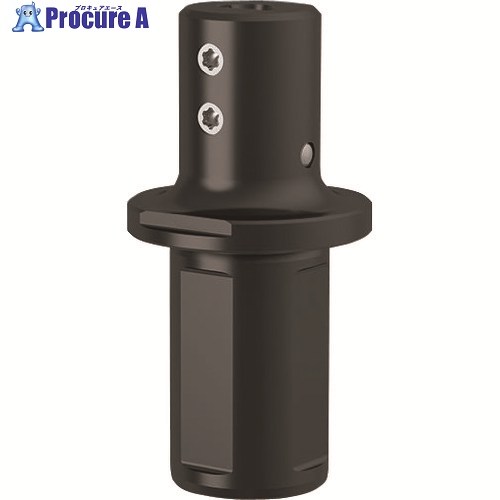 GUHRING 溝入れ工具 丸シャンクホルダ・4 面平取り付き レギュラ- GB106.0022.075.00.22.S.IK 25302 6.002 1本 ■▼182-4848 【送料都度見積】｜プロキュアエース