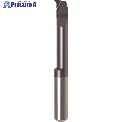 GUHRING 溝入れ物の具 差しいれる 口径処理用 nanoA厚地の外套 GT106.4757.020.52.60.R 25710 6.045 1本 ■▼182-8512 【貨物輸送都度積もり書き】 花・ガーデン・DIY-DIY・工具