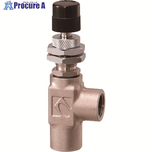 KOFLOC 精密ニードルバルブ MODEL 2412 SERIES 2412-L-B-1/4-AIR-0.1MPA-50L/MIN 1式 ■▼201-1687 【送料都度見積】｜プロキュアエース