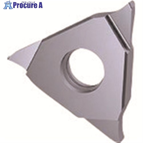 GUHRING 溝入れ手道具 挟みいれる 端面溝入れ TiCN厚地の外套 GA305.0250.020.BA.04.L 25629 12.003 2本 ■▼232-2916 【貨物輸送都度積もり書き】