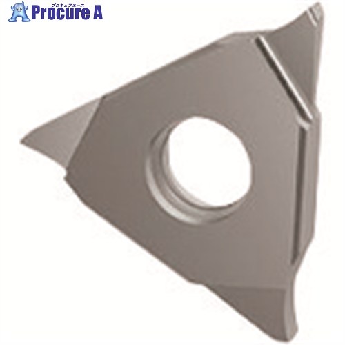 GUHRING 溝入れ工具 インサート 端面溝入れ GA305.0250.020.BA.04.L 25631 12.003 2本 ■▼232-4487 【送料都度見積】｜プロキュアエース