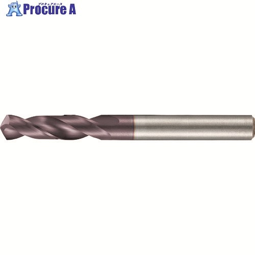 GUHRING 3×D用超硬せん孔機 FIRE上塗り 9.9MM 2463 9.900 1本 ■▼233-1011 【貨物輸送都度積もり書き】