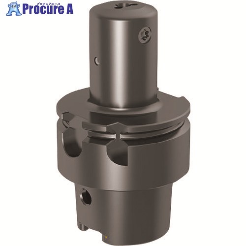 GUHRING 溝入れ手道具 HSK-T ホルダ・ISO 12164-3 引っ切り無い 0° レギュラ- GH104.HS63.056.00.15.N.IK 25016 4.002 1本 ■▼233-3873 【貨物輸送都度積もり書き】
