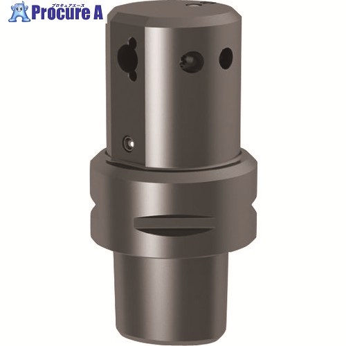GUHRING 溝入れ工具 ポリゴンシャンクホルダ ISO 26623・オフセット 90° レギュラ- GH106.PO63.050.90.22.L.IK 25309 6.004 1本 ■▼233-8557 【送料都度見積】