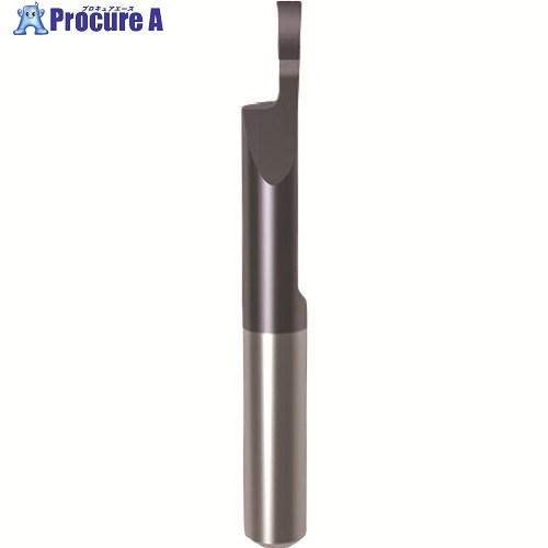 GUHRING 溝入れ工具 インサート 端面溝入れ加工用 nanoAコート GA106.Z150.010.22.60.L 25799 6.002 1本 ■▼233-8687 【送料都度見積】｜プロキュアエース
