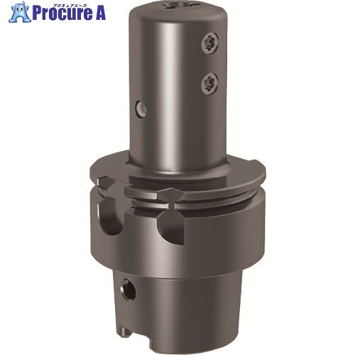 GUHRING 溝入れ手道具 HSK-T ホルダ ISO 12164-3・引っ切り無い 0° レギュラ- GH106.HS40.057.00.22.N.IK 25311 6.001 1本 ■▼234-0194 【貨物輸送都度積もり書き】