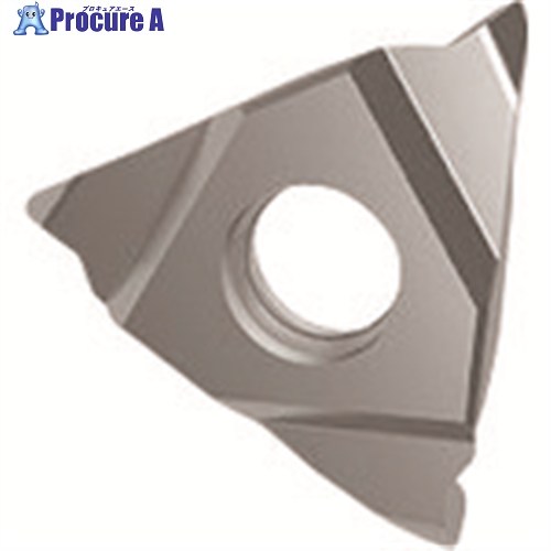 GUHRING 溝入れ工具 インサート 外径端面リセス加工用 GA305.0200.050.AA.04.L 25623 12.002 2本 ■▼234-4471 【送料都度見積】｜プロキュアエース