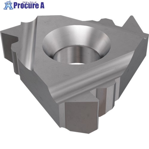 イスカル アメリカンバットレスねじ切り手当て IR/L-ABUT 集積回路250 22UIR4ABUTIC250 5個 ■▼340-6470 【貨物輸送都度積もり書き】 ●O585