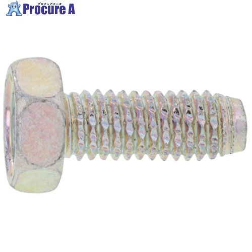 SUNCO 三価白いこと 金剛石ねじ釘(6角 6×16 (600本入) 30-00-450A-0060-0160-03 1箱 ■▼261-4578 【貨物輸送都度積もり書き】