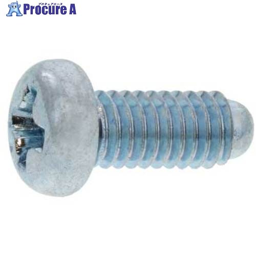 SUNCO 三価ホワイト Sタイプナベ 丸先 4×10 (2500本入) 30-00-0500-0040-0100-03 1箱 ■▼261-7566 【送料都度見積】