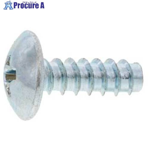 SUNCO 三価白いこと Bタイプトラス 2×8 (10000本入) 30-00-1003-0020-0080-03 1箱 ■▼263-0191 【貨物輸送都度積もり書き】