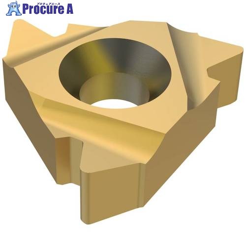 セコ 旋削用 ねじ切り用さし入れる CP300 27ER4API504  CP300 2個 ■▼483-2676 【貨物輸送都度積もり書き】
