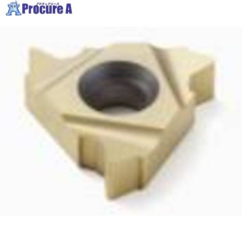 セコ 旋削用 ねじ切り用さし入れる CP300 27ER6.0ISO  CP300 2個 ■▼483-9019 【貨物輸送都度積もり書き】