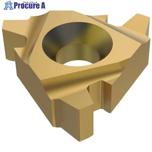 セコ 旋削用 ねじ切り用さし入れる CP300 27NR4ACME  CP300 2個 ■▼484-0652 【貨物輸送都度積もり書き】