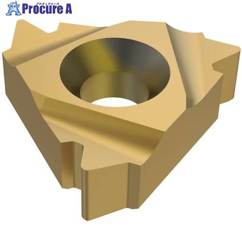 セコ 旋削用 ねじ切り用差し入れる CP300 27ER5API404  CP300 2個 ■▼484-2172 【貨物輸送都度積もり書き】