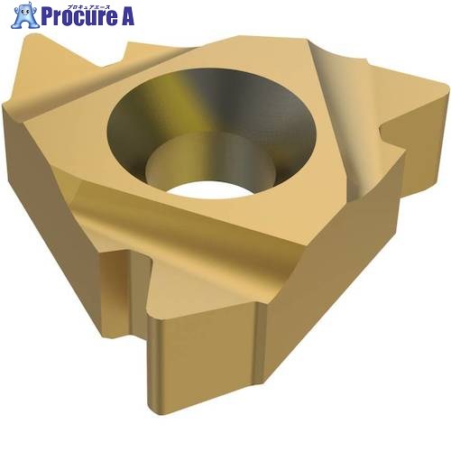 セコ 旋削用 ねじ切り用さし入れる CP300 27ER4API506  CP300 2個 ■▼484-5377 【貨物輸送都度積もり書き】