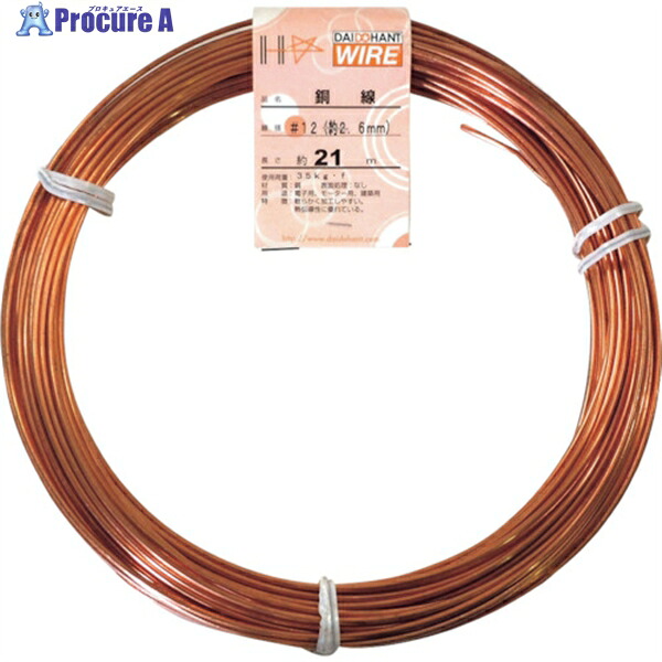 DAIDOHANT 銅線 1kg巻 #12 00058084 1巻 ▼134-9705