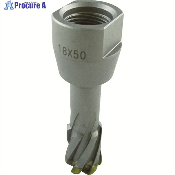 HiKOKI 【売切廃番】スチールコア(N) 42mm T50 0031-6082 1本 ▼793-4416 【代引決済不可】