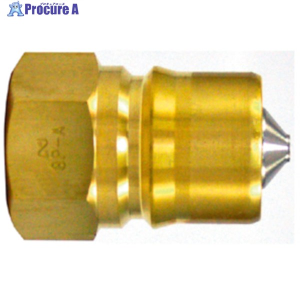 日東 SPカプラ タイプA 真ちゅう製 ふっ素ゴムFKM X-100(07926) 8P-A BRASS FKM 1個 ▼410-0503 ●KO521