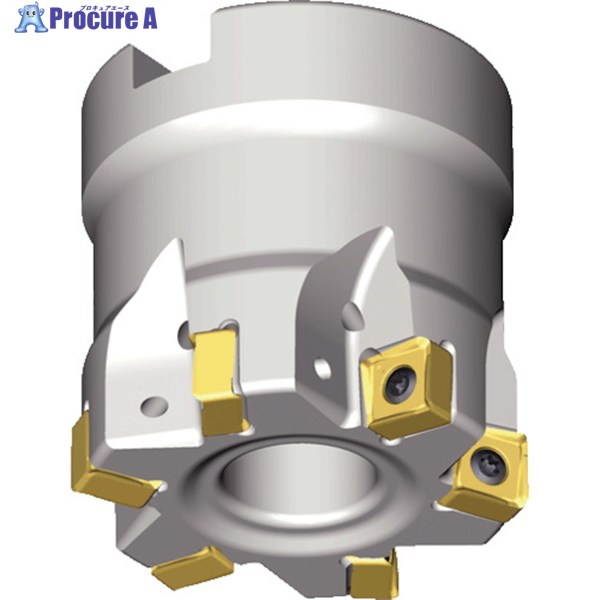 TAEGUTEC ミーリング截断機 チェイス8圧砕機 8D-TF90-850-22R-07 1本 ▼439-8448