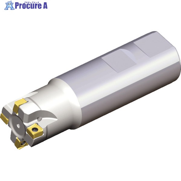 TAEGUTEC ミーリング截断機 チェイス8圧砕機 8D-TE90-432-32-07-L200 1本 ▼439-8509