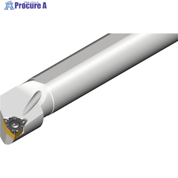 TAEGUTEC ライノMターン 内径加工用ボーリングバー A12M SWLNL 0403 1本 ▼441-1116