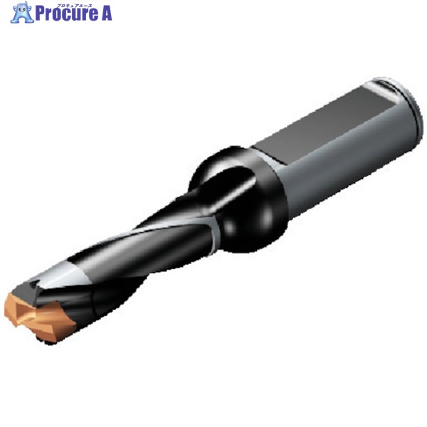 SANDVIK コロドリル870 ヘッド交換式ドリル(446) 870-2200-22L25-3 (446) 1本 ▼565-7008 ●KO521