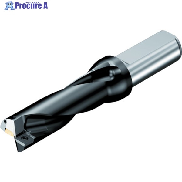 SANDVIK 刃先取り替えっこ式せん孔機 百貨店Uせん孔機(465) 880-D1300L20-03 (465) 1本 ▼607-7781  ●KO521 花・ガーデン・DIY-DIY・工具