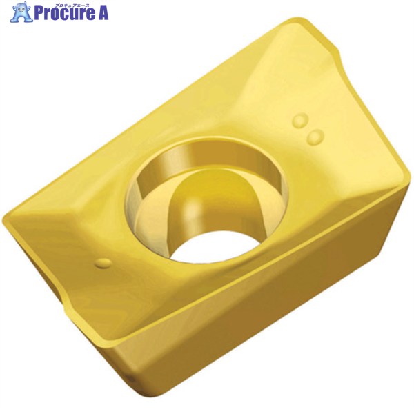 TAEGUTEC ミーリング加工用チップ チェイスミル APKT 09T3 PER-EM TT9030 10個 ▼454-3626