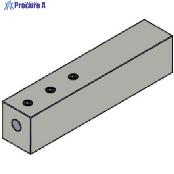 タンガロイ 口径働き口用判定基準捩り BLS 角シャンクタイプ BLS16-10 1個 ▼351-1111  ●MA515 DIY・工具-花・ガーデン・DIY