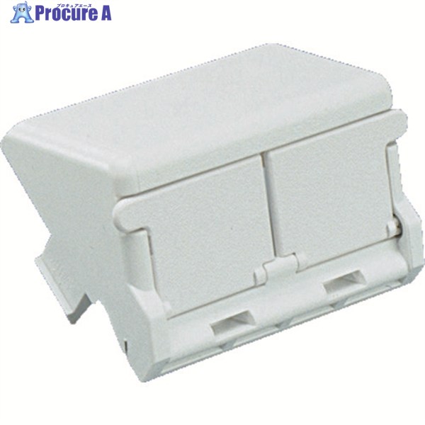 PANDUIT 1/2サイズ2ポート用傾斜型シャッター付きアダプタ枠(10個入) CHS2SIW-X 1袋 ▼828-1462