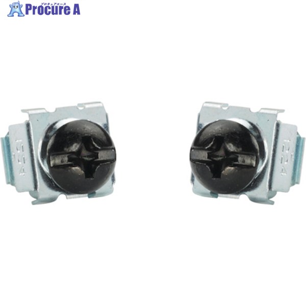 PANDUIT M5ケージナット&ネジ (100個入) CNWSM5-C 1袋 ▼828-5914 |プロキュアエース