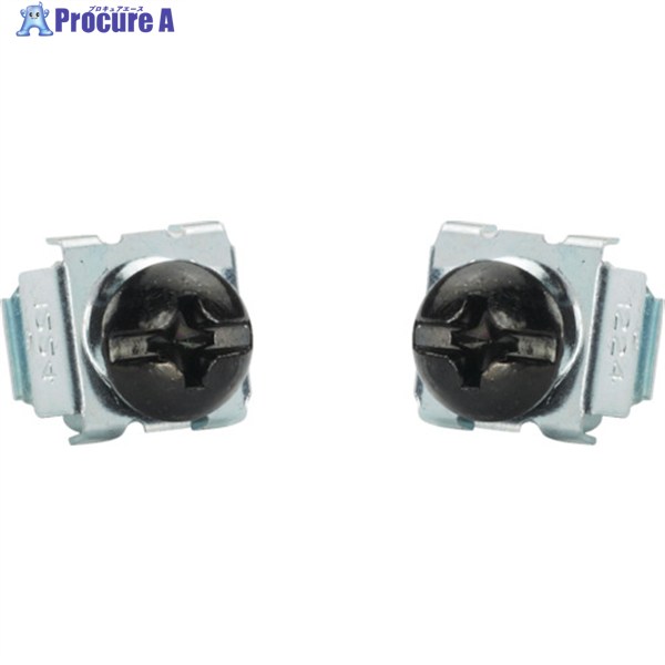 PANDUIT M6ケージナット&ネジ (100個入) CNWSM6-C 1袋 ▼836-7314 |プロキュアエース