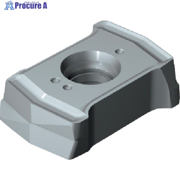 SANDVIK コロドリルDS20チップ(365) H13A DS20-0407-P-S5W H13A (365) 10個 ▼216-2544 ●KO521｜プロキュアエース