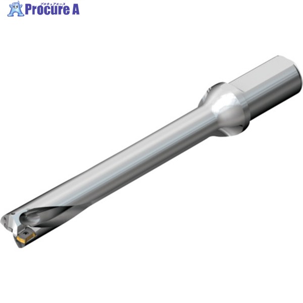 SANDVIK コロドリルDS20刃先交換式ドリル(465) DS20-D2300L25-07 (465) 1本 ▼216-2593 ●KO521 60,959円