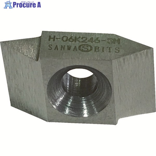 SANWA ねじ釘切心付け H-06K246-SM 10個 ▼485-9855