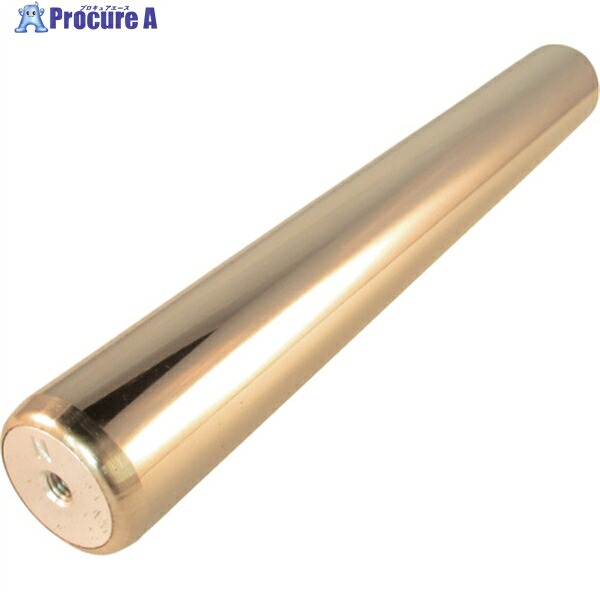 KANETEC 磁石棒 差しわたし25mm×全長194粍 KGM-20 1本 ▼406-3503