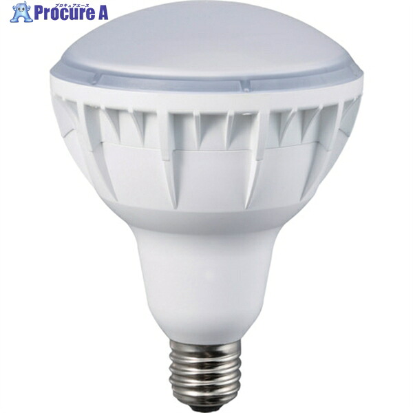 ハタヤ 40W LED作業灯用交換球 LDR40N-H110 1個 ▼126-5021
