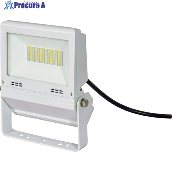 NICHIDO LED投光器 常設用フラットライト30W 白 LJS-FH30D-W-50K 1台 ▼332-9515