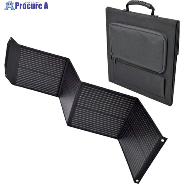 NICHIDO ピンヴァン用ソーラーダイアログボックス 100W LPE-SO100 1台 ▼537-0697