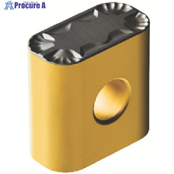 SANDVIK T-MAXPチップ(340) 4325 LNUX 19 19 40-PF  4325 (340) 10個 ▼571-6705  ●KO521
