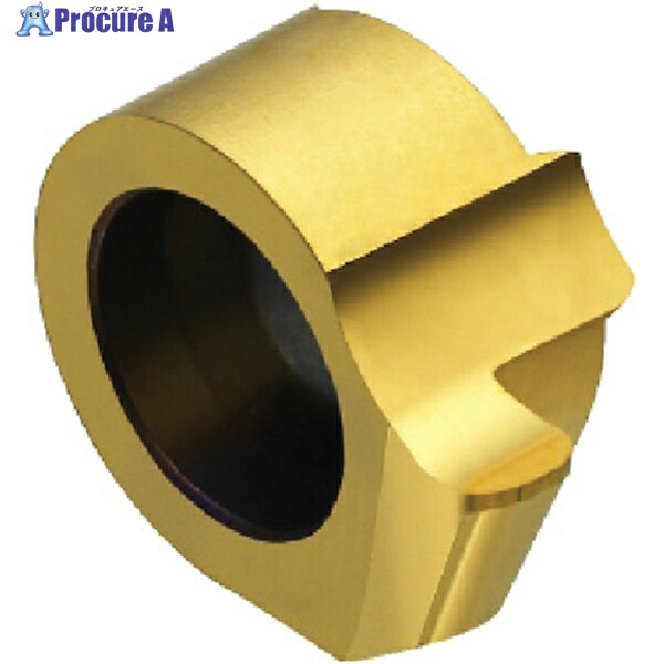 SANDVIK コロカットMB 溝入れ用超硬上端(325) 1025 MB-09G250-00-14R  1025 (325) 5個 ▼609-7979  ●KO521